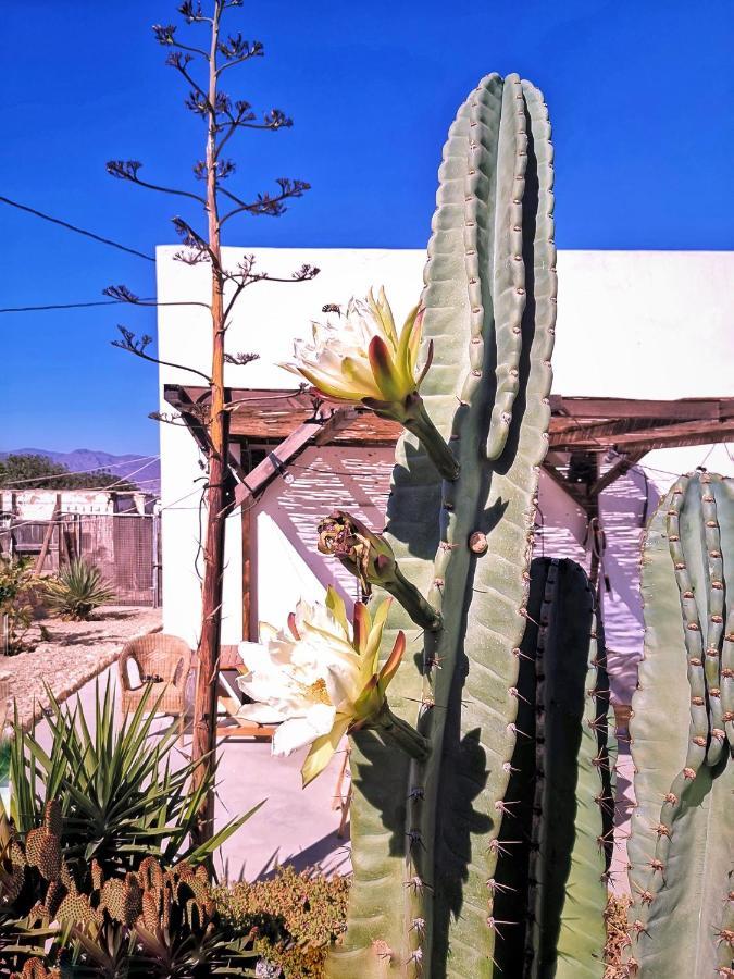 Cortijo La Ciclona Appartement Fernan Perez Buitenkant foto